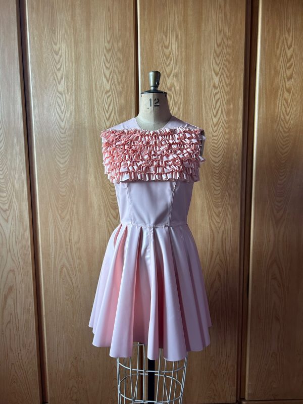 Frilled Yoke Dress - Image 4