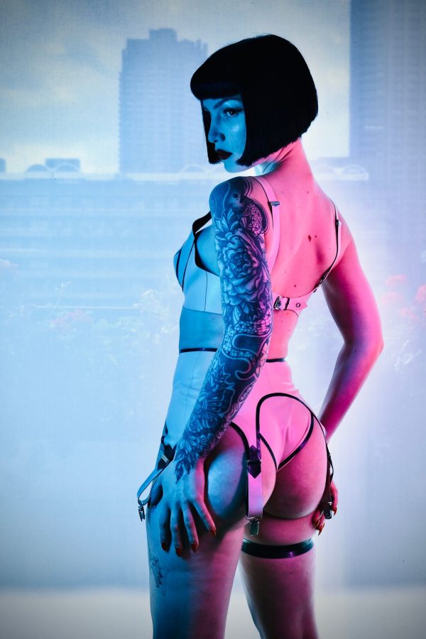 Suspender Belt - Image 3